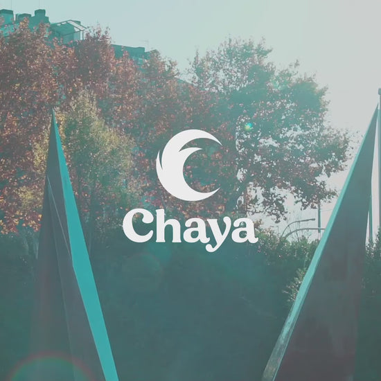 CHAYA KARMA PRO BLACK – LAVASKATES